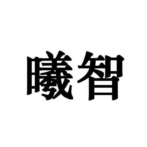 謝春梅與公司 以信息技術咨詢為核心，引領創新服務未來
