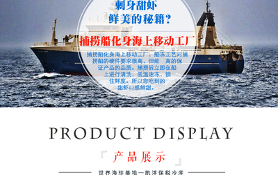 品味北冰洋之鮮 凱洋世界海鮮加拿大刺身甜蝦的全方位解讀