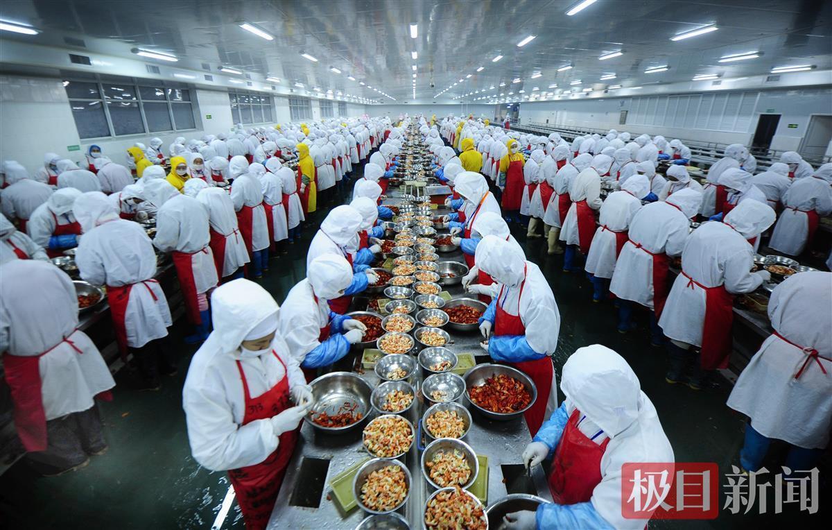 “一紅一綠”撬動富路 潛江兩只蝦的戰(zhàn)略密碼