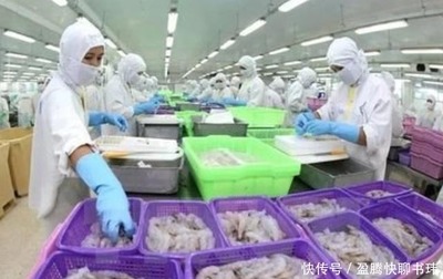 印度蝦訂單涌入中國，鄰國呼吁公平競爭