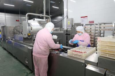 諸城預制菜 以鮮蝦領銜，站上健康食品產業(yè)“C”位
