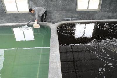 渤海1號助力濱州對蝦從外購到自主培育，魯北最大水產基地加速成型
